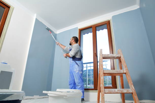 Best Faux Finishing and Decorative Painting  in Bronson, MI